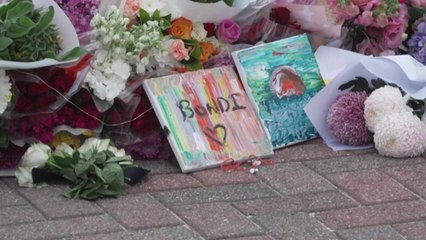 호주 당국, 시드니 해변 총격범 '무슬림' 부자 IS 관련성 수사 / YTN