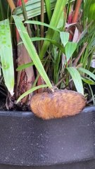 Ça donne envie de la toucher