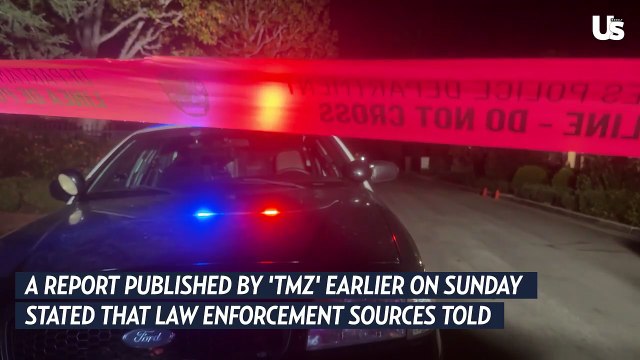 Rob Reiner and Wife Michele Reiner Confirmed Dead in L.A. Home | Apparent Homicide