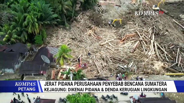 Kejagung Ungkap Satgas PKH Proses PT TBS Terkait Pembalakan Liar Pemicu Banjir Sumatera