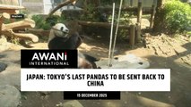 Japan's last pandas to be sent back to China