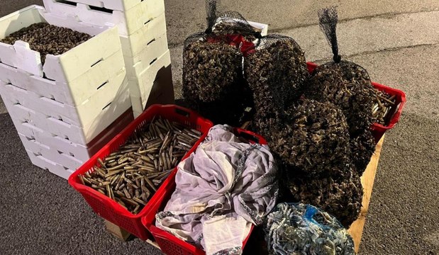 Termoli, pesca illegale: sequestri per oltre una tonnellata e mezzo (15.12.25)