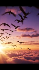 Amazing Nature Scenes ! Today's Trending Video