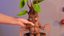 Turning a forgotten doll into a magical Harry Potter–style Mandrake plant 🌱✨
