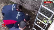 Amasya'da boş havuza düşen yavru karacayı itfaiye ekipleri kurtardı