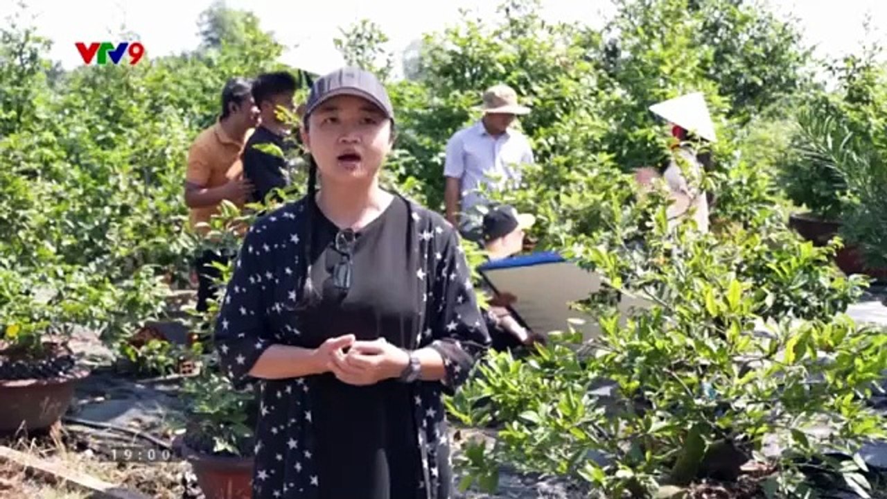 Người thừa kế không danh phận - Tập 8
