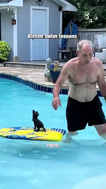 Grandpa teaches kitten how to swim