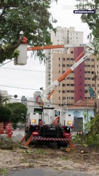 Enel pode perder concessão em São Paulo