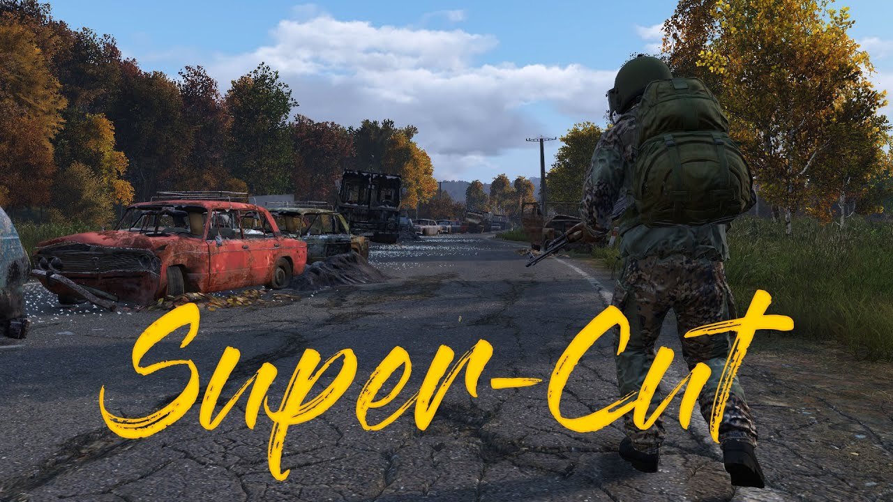 DayZ - Super-Schnitt