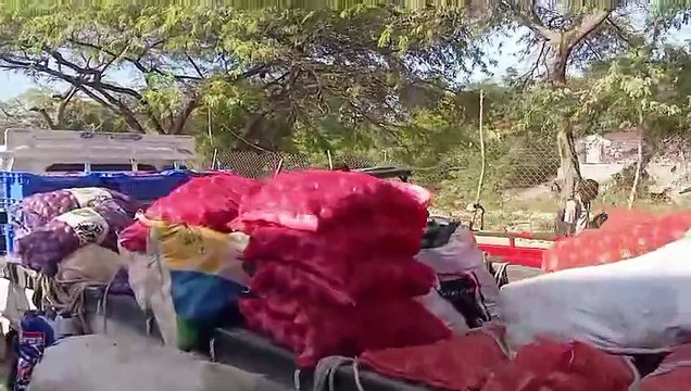 ¡Deportación masiva y mercado binacional activo! Así amaneció este lunes Pedernales