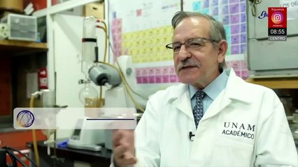 Árboles de Navidad: ¿cuál es su impacto ambiental cada temporada?