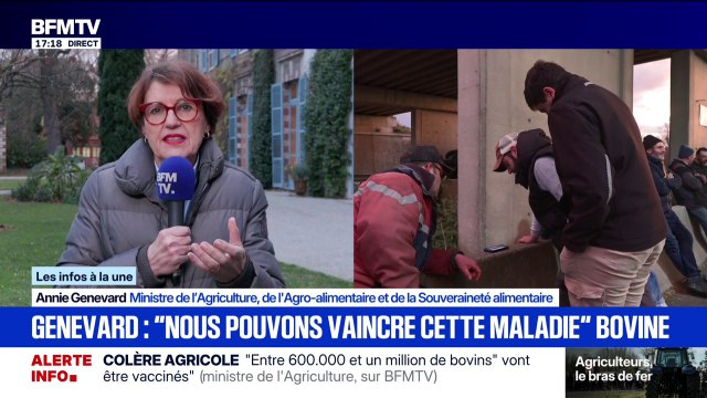 Dermatose nodulaire bovine: Nous avons suffisamment de doses de vaccin , déclare Annie Genevard, ministre de l'Agriculture