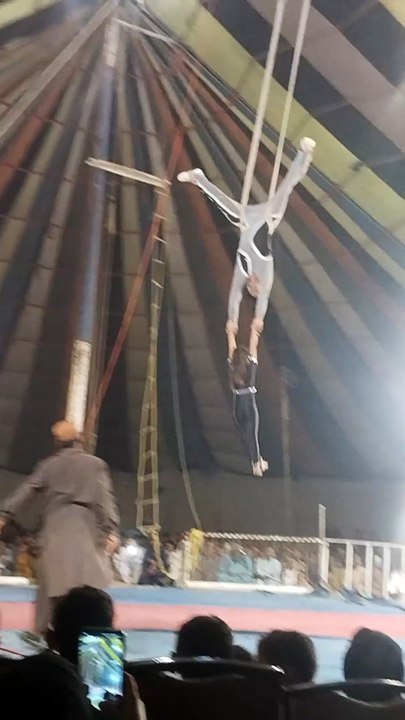 @##circus stund ### viral ##