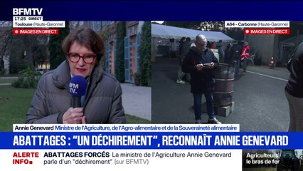 Annie Genevard assure que certains agriculteurs "ne respectent pas" les consignes de non déplacement des bovins contaminés par la dermatose nodulaire