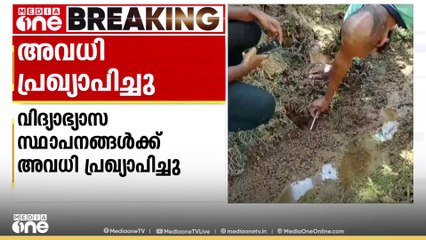 വയനാട്ടിൽ രണ്ട് പഞ്ചായത്തുകളിലെ 10 വാർഡുകളിലെ വിദ്യാഭ്യാസ സ്ഥാപനങ്ങൾക്ക് നാളെ  അവധി