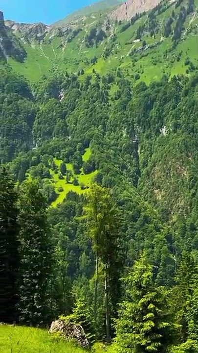 VID-20251214-WA0012.  Green Bay area