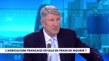 Philippe de Villiers : «Israël, pour les islamistes, c’est la pointe diamantée de l’Occident»