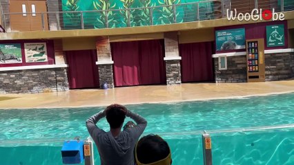 Hilarious twist: Boy stands beside sea lion for picture and gets soaked