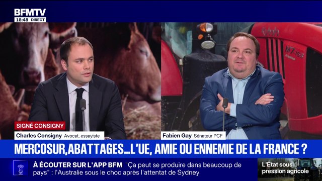 SIGNÉ CONSIGNY - Le Mercosur est un traité nuisible à notre agriculture mais plutôt bénéfique pour le reste , estime Charles Consigny, avocat et essayiste