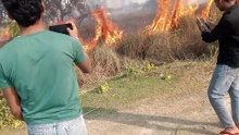 Fire Breaks Out in Farm Field 🔥 | Shocking Crop Fire Short Video