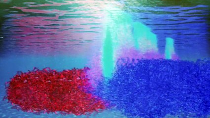 The Proof Is Out There S05E20