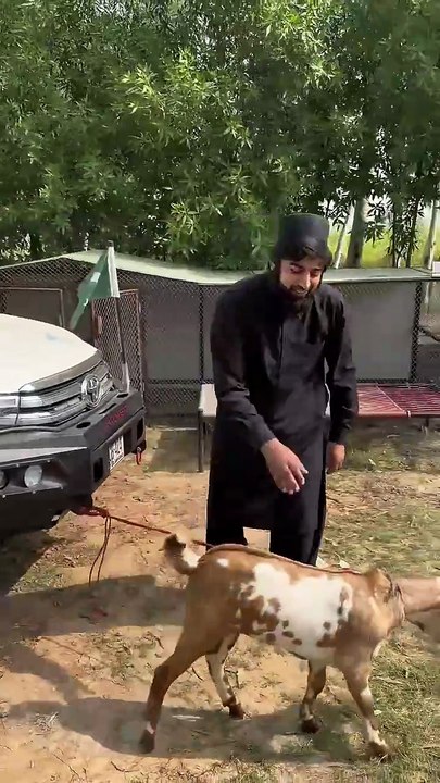 jao aik or bakra lay ao #youtuber #funny #unfrez