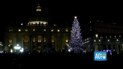 Piazza San Pietro, inaugurati presepe e albero di Natale: per la prima volta presiede una donna