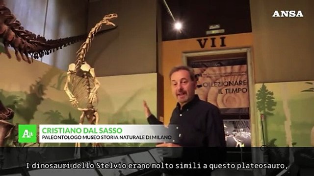 Scoperte migliaia di orme di dinosauri nel Parco dello Stelvio