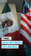 Expertos laborales de EU cuestionan alcances del T-MEC