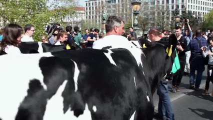 Watch: Will Mercosur deal be stopped by the French farmers?