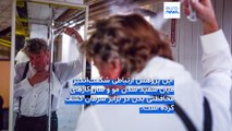 بر اساس یک پژوهش ژاپنی، سفید شدن موها می‌تواند خبر خوبی برای سلامت شما باشد؛ اما چرا؟