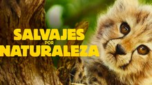 Salvajes Por Naturaleza | Tráiler oficial en inglés