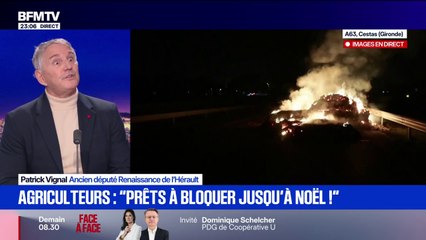 Dermatose nodulaire contagieuse: "On agit pas avec assez de souplesse, on est dans de l'irrationnel", déclare Patrick Vignal, ancien député Renaissance
