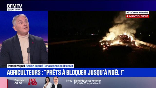 Dermatose nodulaire contagieuse: On agit pas avec assez de souplesse, on est dans de l'irrationnel , déclare Patrick Vignal, ancien député Renaissance