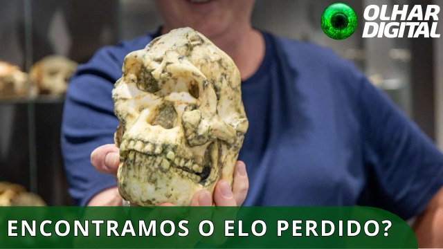 Fóssil pode mudar o que sabemos sobre os ancestrais humanos