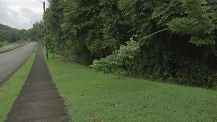 Fiscalía de Arraiján investiga el hallazgo de un cuerpo en estado de descomposición en Monterregio