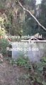 Reserva ambiental Ipanema Mg referência Rancho oclides