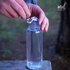 Wood chips turned into food