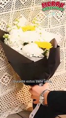 (DOBLADO) Papá, Salva a Mamá – PELÍCULA COMPLETA HD | Drama de Acción Familiar