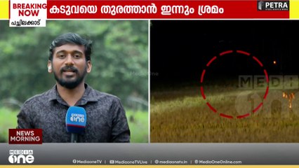 വയൽ കടന്ന് കടുവ ഹൈവേക്കടുത്ത്; വയനാട് കടുവയെ തുരത്തുന്ന ദൗത്യം ഇന്ന് രാവിലെ പുനരാരംഭിക്കും