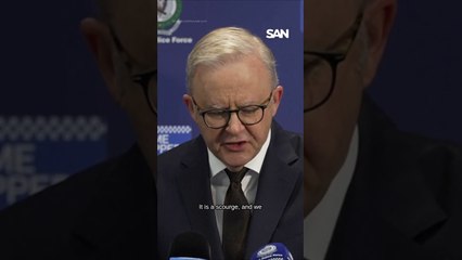 Australian PM Albanese describes Bondi beach attack as "pure evil"