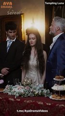 Tempting Luna - sereal - #abel