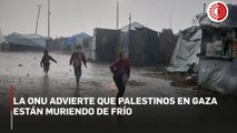 Agencia para Refugiados de Palestina advierte que gazatíes “están muriendo de frío”