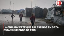 Agencia para Refugiados de Palestina advierte que gazatíes “están muriendo de frío”