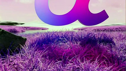 FNN Live News イット！  2025年日12月16日