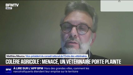 "Votre tête aurait fini au bout d’un pique": le président de la Fédération des syndicats vétérinaires porte plainte après des menaces