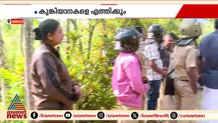 കടുവ ഭീതിയിൽ കണിയാമ്പറ്റ; നിരീക്ഷണം തുടർന്ന് വനംവകുപ്പ്