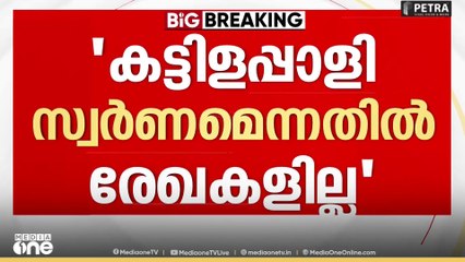 Sabarimala Gold Plate | 'കട്ടിളപ്പാളികൾ സ്വർണമാണെന്നതിൽ രേഖകളില്ല'