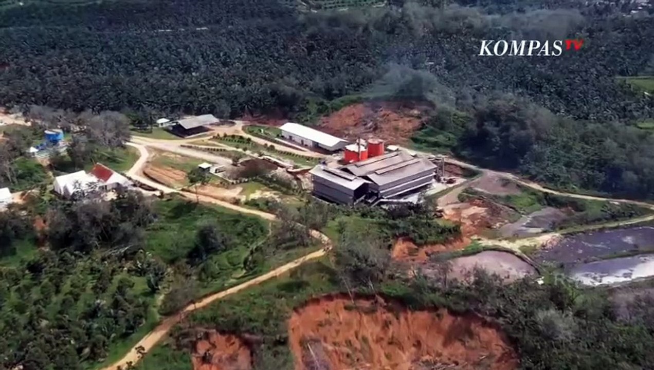 Penelusuran Perkebunan Sawit di Aceh Tamiang, Siapa Pemiliknya? | DIPO INVESTIGASI
