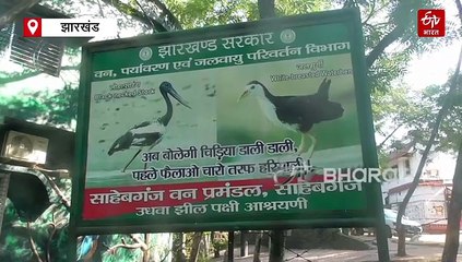 साहिबगंज के उधवा पक्षी अभयारण्य रामसर साइट घोषित, प्रवासियों पक्षियों का बना सुरक्षित जोन